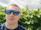 Дмитрий, 36 лет, Владимир, Россия