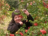 Марина, 63 года, Магнитогорск, Россия